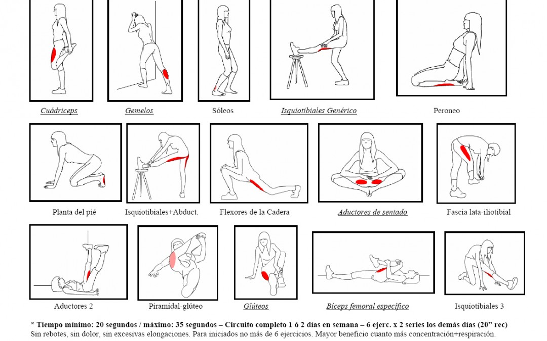Estiramientos deportivos